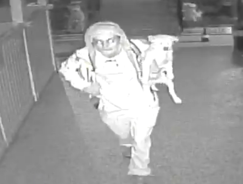 Theft of puppies caught on surveillance video; Omaha kennel owner hopes