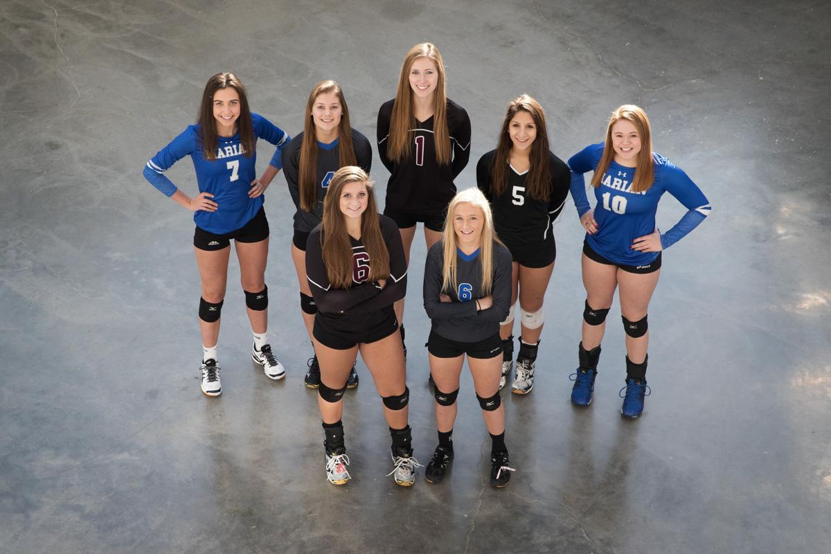 AllMetro volleyball Differencemakers like Millard North's Elise