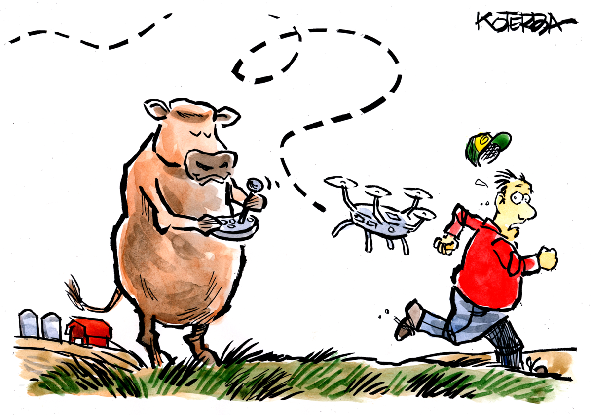 The Great Koterba Caption Contest March 2020 The Great Koterba Caption Contest Omaha Com See more of weekly photo caption contest on facebook. the great koterba caption contest