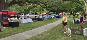 palooza02.jpg