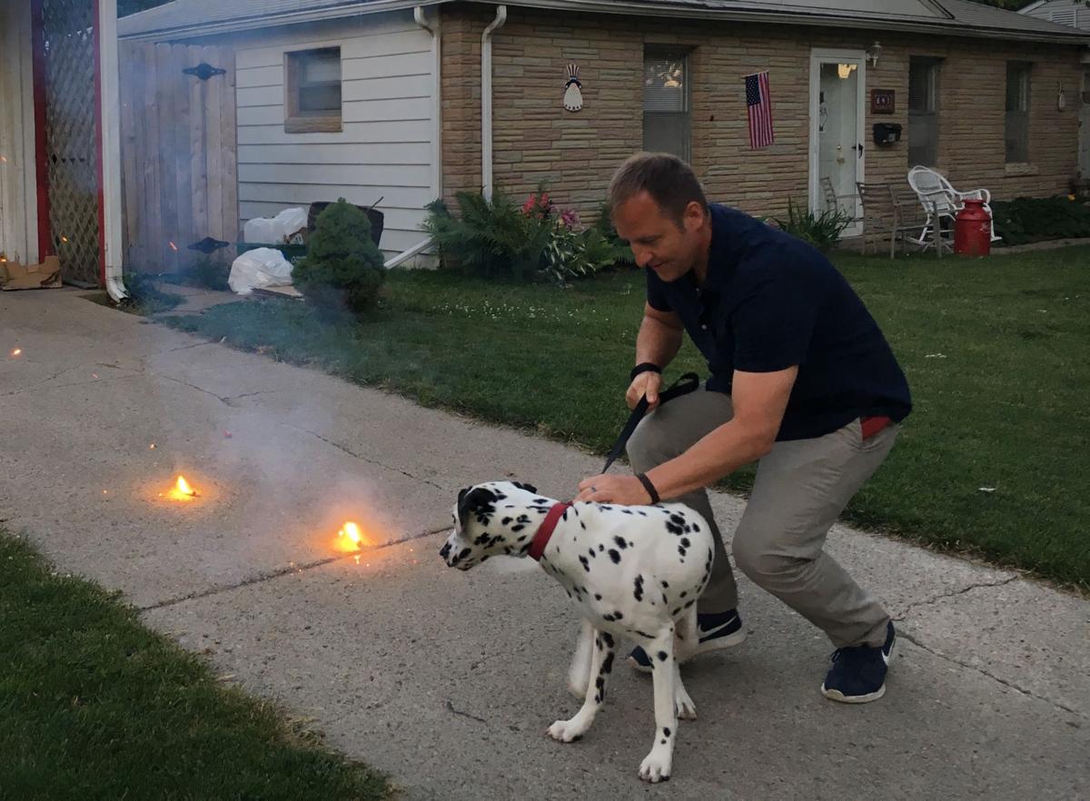 Dog Gone Problems How to help a dog get over a fear of fireworks