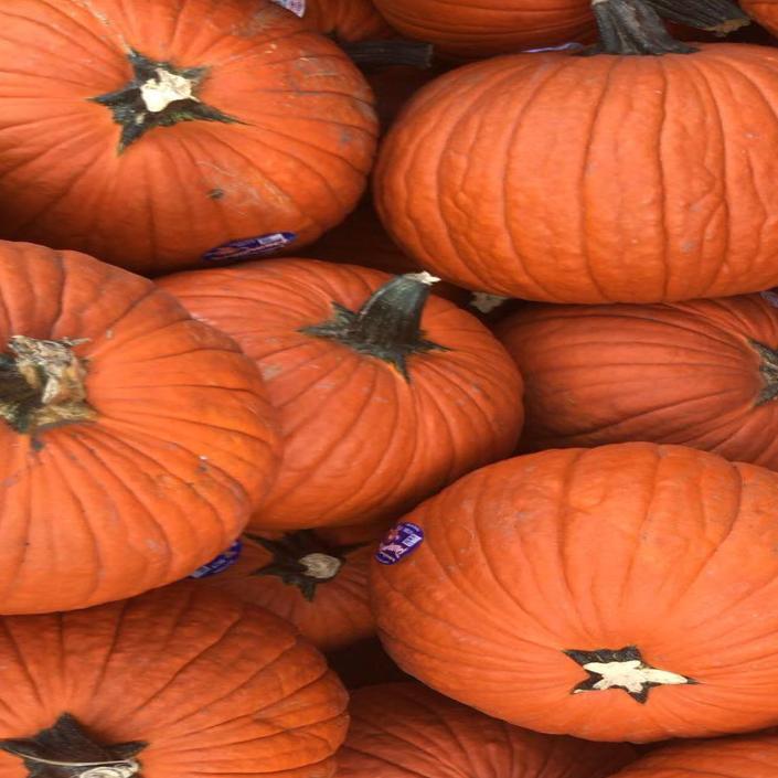 25 Things To Do In Omaha Over The Next Halloweek For Singles Families Partiers Or Introverts Entertainment Omaha Com