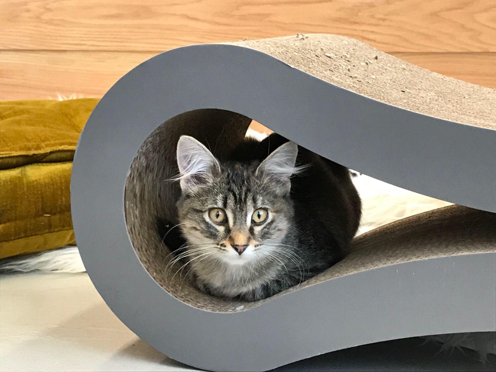 Giving Tuesday Drums Up Support In Omaha Area For Acts Of Kindness Volunteering Donations Local News Omaha Com