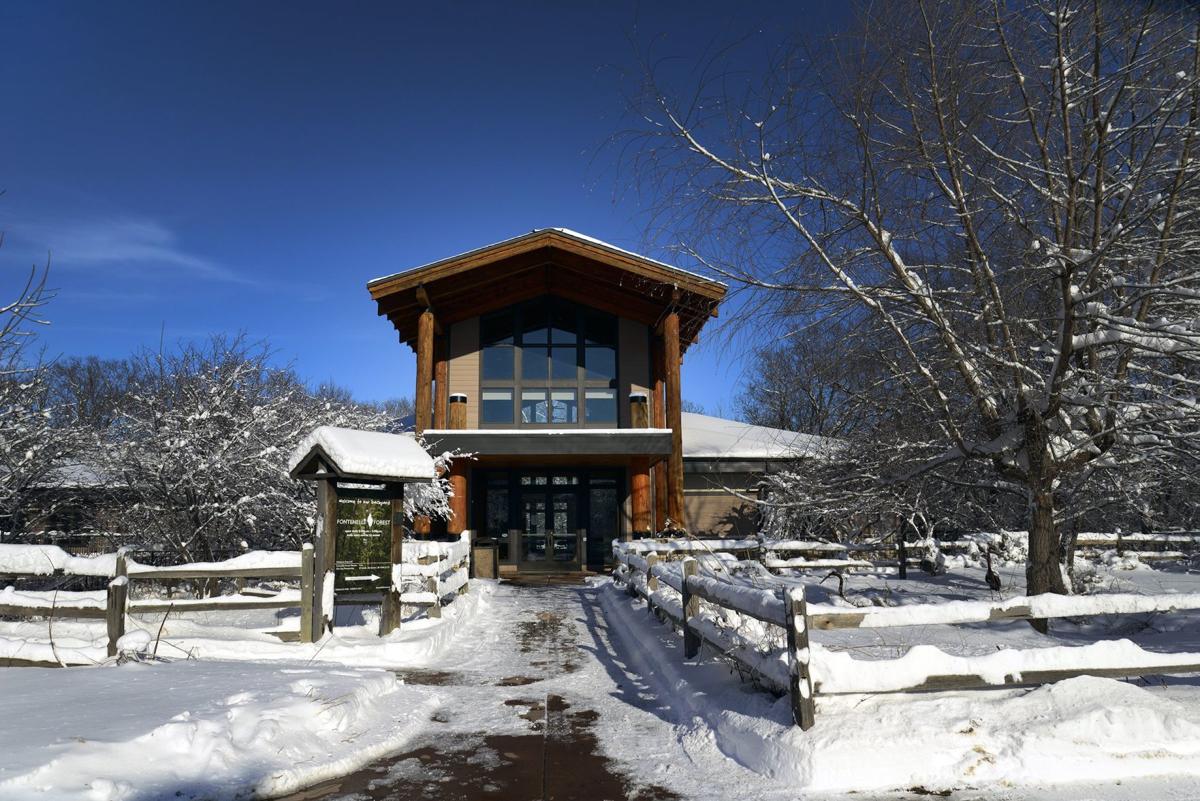 In the stillness of winter, life still runs wild at Fontenelle Forest Sponsored features