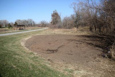 Springfield receives $1,362 grant to create pollinator ...