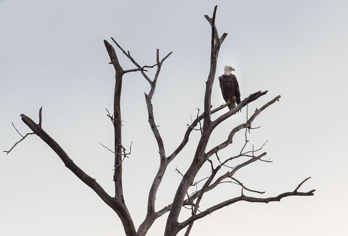 20191008_new_septinpics23