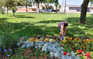 City horticulturalist 3.jpg
