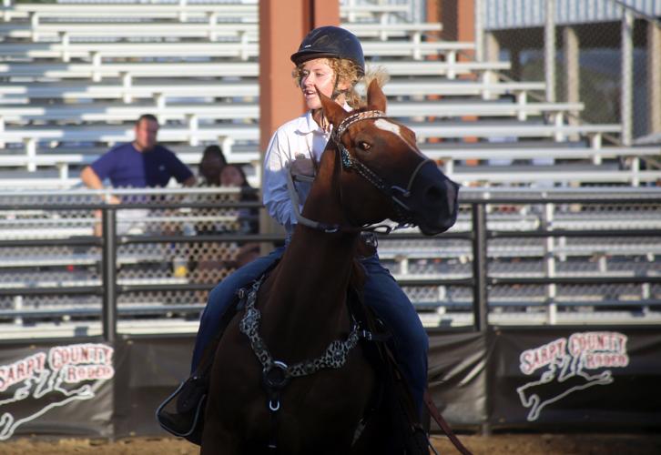080724-sni-news-4h-horse-2.jpg