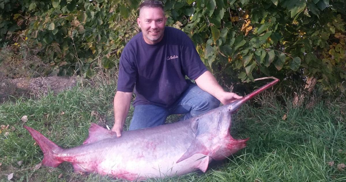 Fisherman snags 113-pound paddlefish, the largest fish ever caught in ...