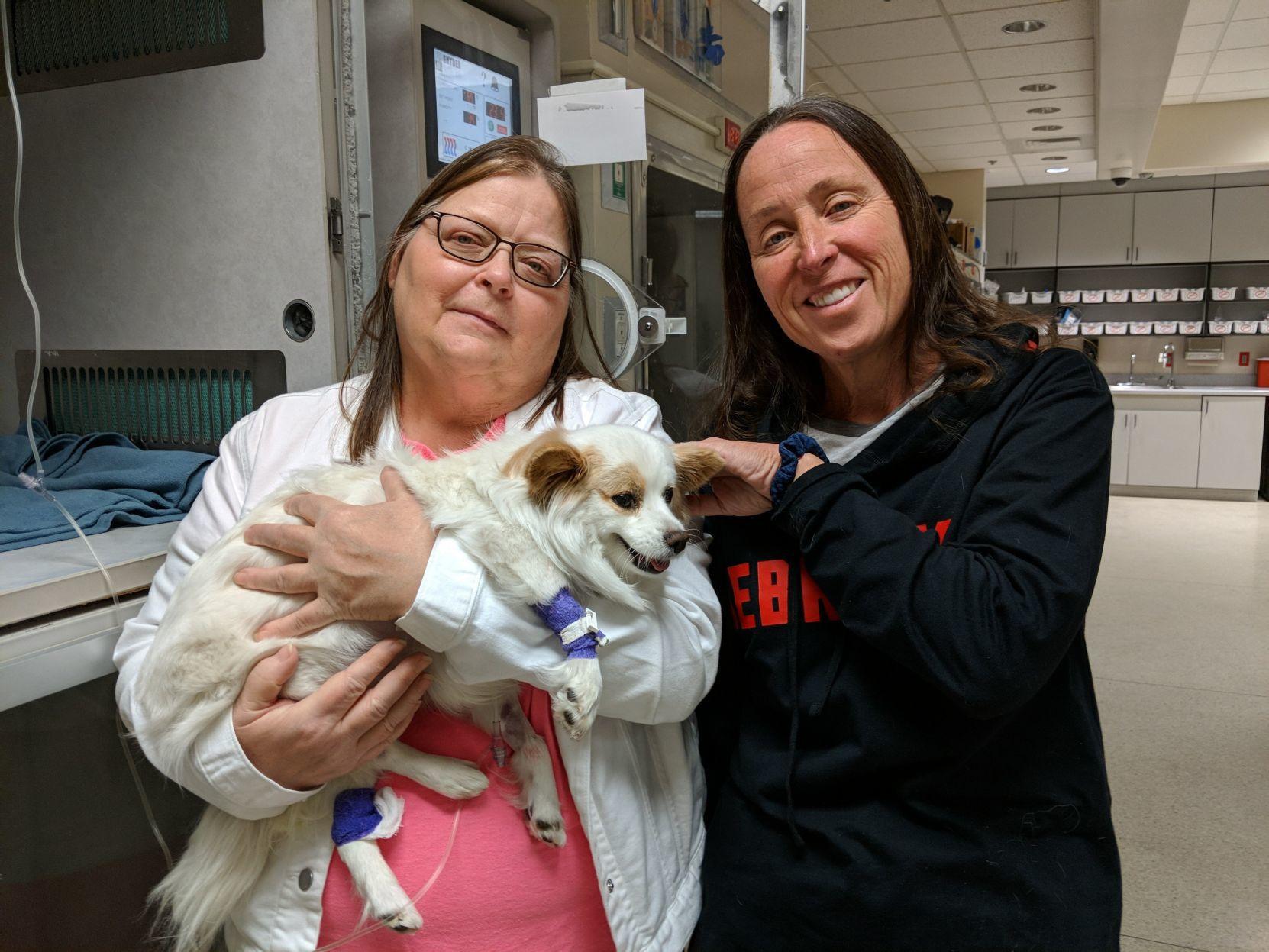 Nebraska Pet Caretaker Drives Sick Dog To Another State For