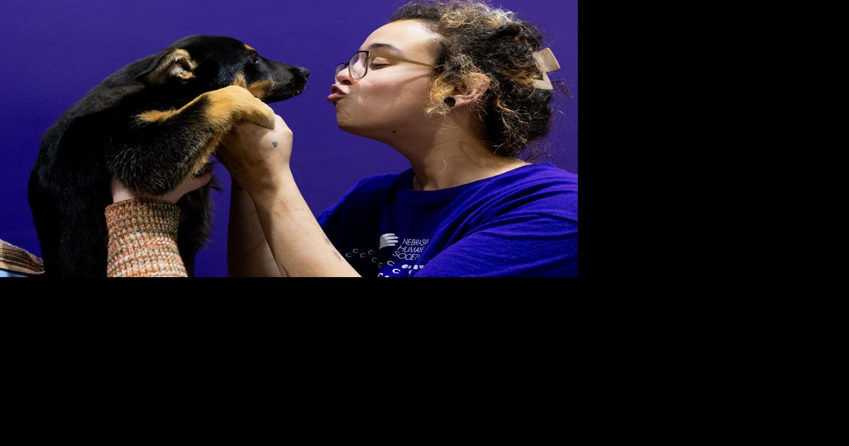 Nebraska Humane Society hosting spring supply drive Saturday