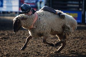 072926-owh-new-sarpyfair-nf-01.JPG
