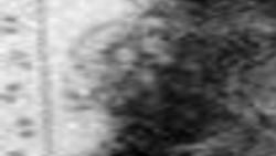 Jones Mary Elizabeth Swanson Obits Omaha Com