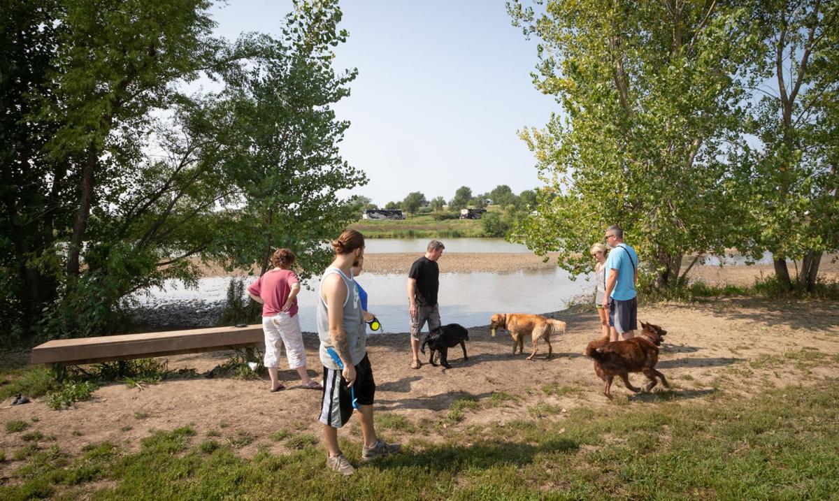For 80 000 Papillion Will Get Its First True Dog Park One