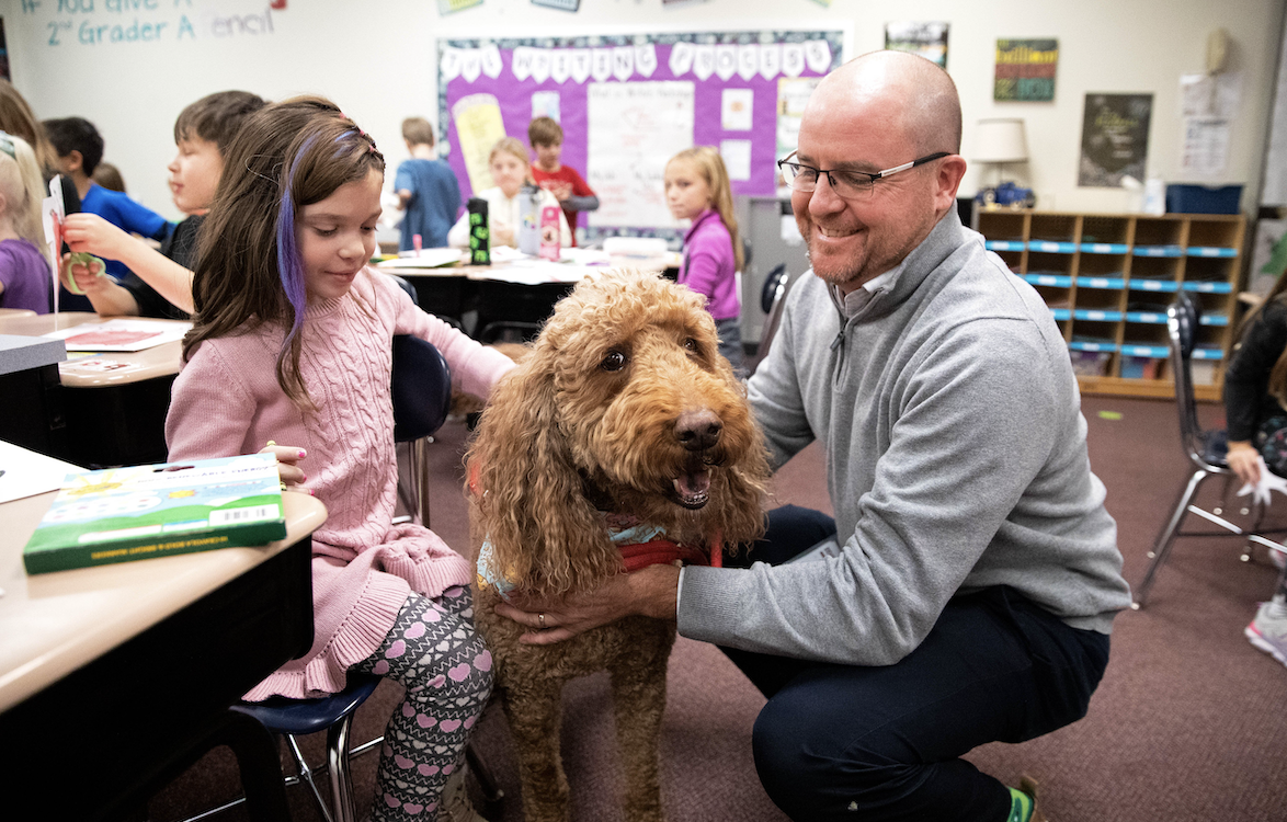 can therapy dogs go into schools