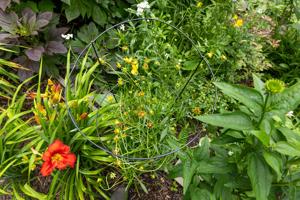 062526-owh-new-gardenwalk-jc-3.JPG