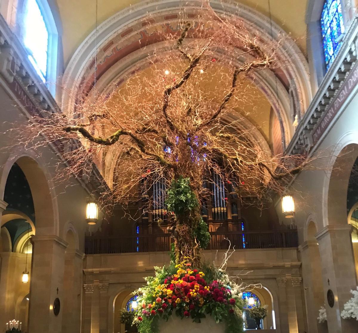 'Right now, it's always icky or dreary' Cathedral Flower Festival is