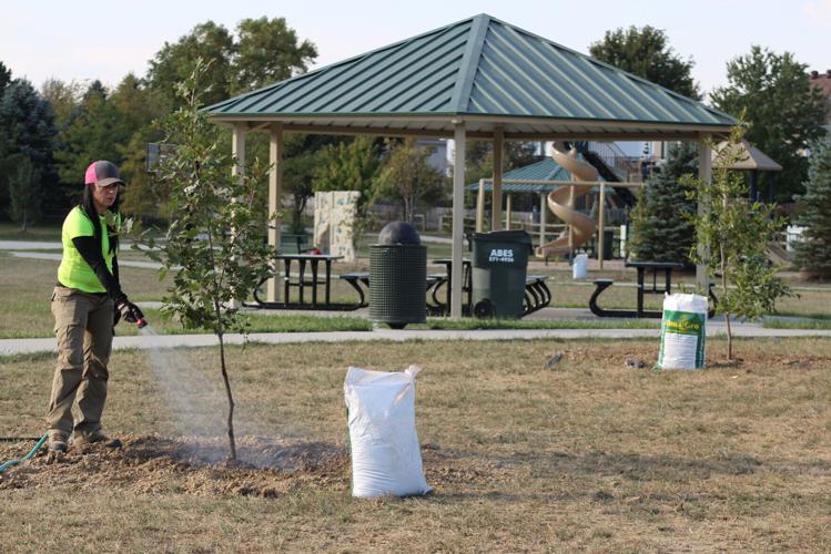 Gretna Arbor Society Tree Planting