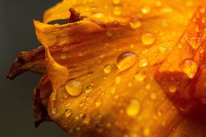 092926-owh-new-rain-cm-01