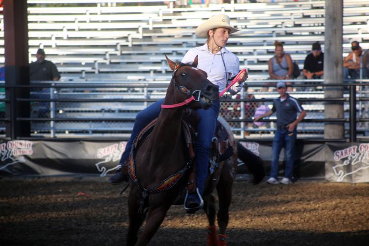 080724-sni-news-4h-horse-4.jpg
