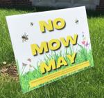 After a few weeks, No Mow May was a little more than I could handle