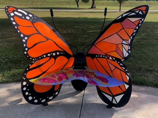 20200729_pt_butterflybench