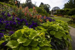 Lincoln Sunken Gardens