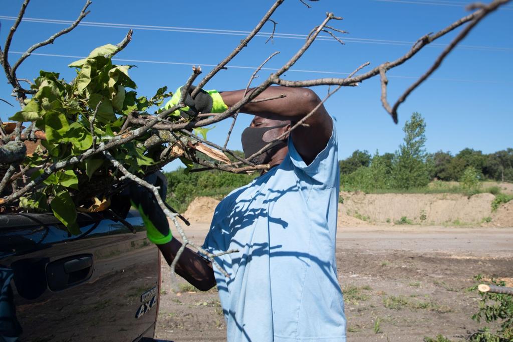 Omaha Zoo Taking Tree Branches From Monday S Storm City Also Providing Drop Off Sites Local News Omaha Com