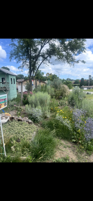 prairie2.jpg