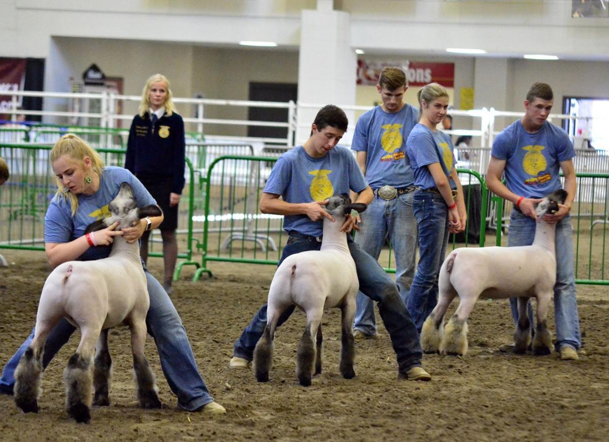 Editorial Nebraska State Fair's focus on youth is the right priority