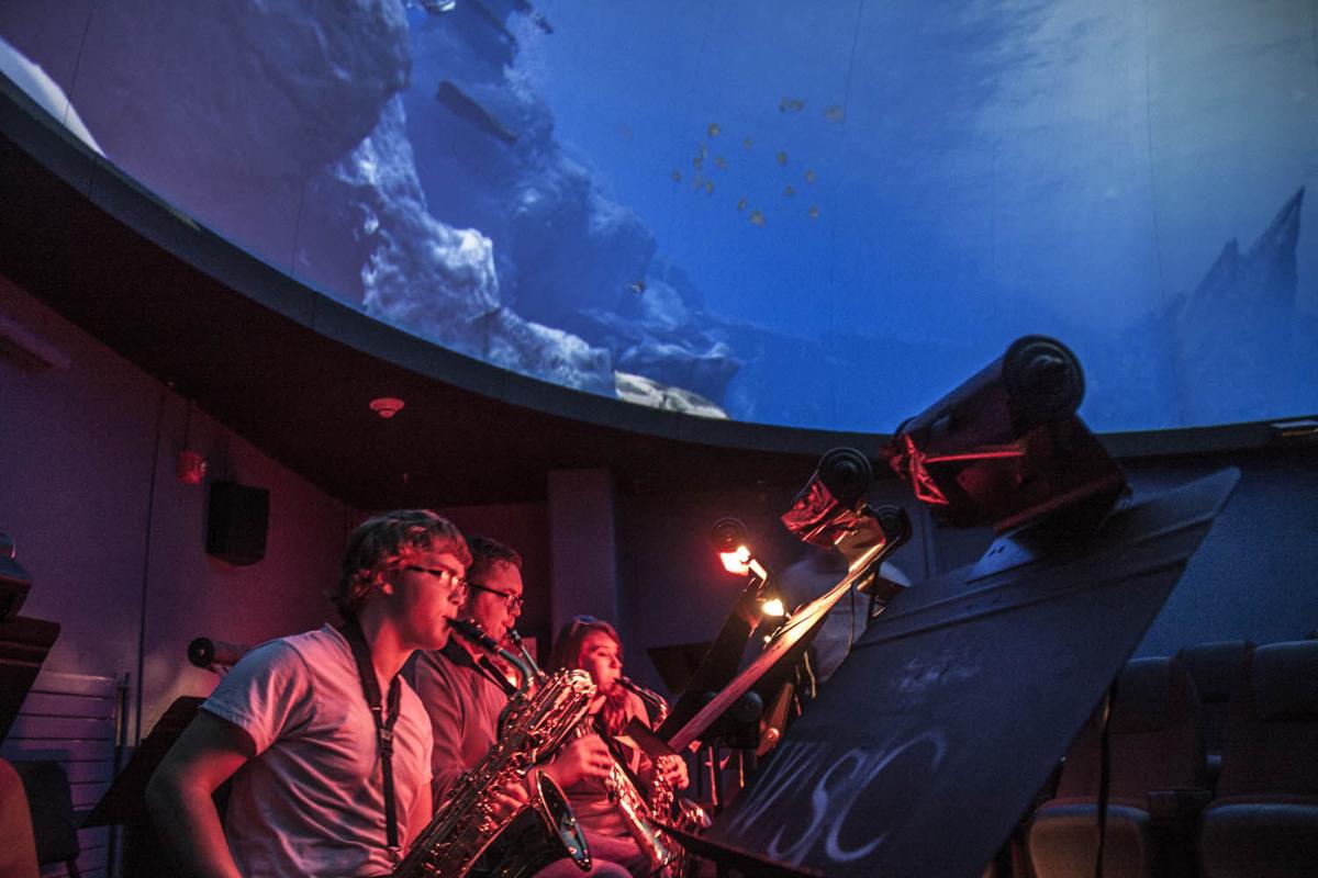 Stargaze at the Fred G. Dale Planetarium