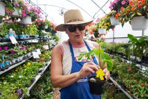 050826-owh-new-gardenseason-cm-09 (copy)