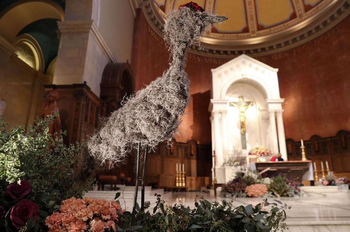 Photos 2017 St. Cecilia Cathedral Flower Festival Living