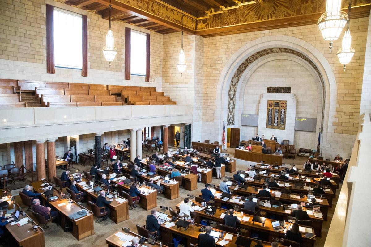 Single chamber legislature