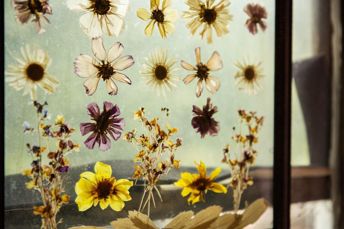 20200808_new_prague_ar06