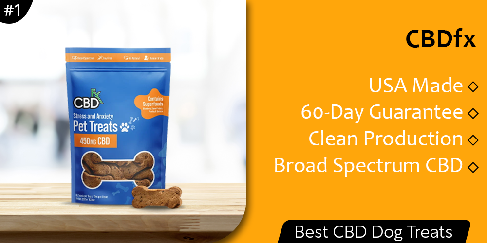 7 Best CBD Dog Treats Of 2022 – Natural And Healthy CBD Bites