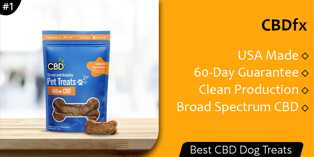 7 best CBD dog treats of 2022 Natural and healthy CBD bites