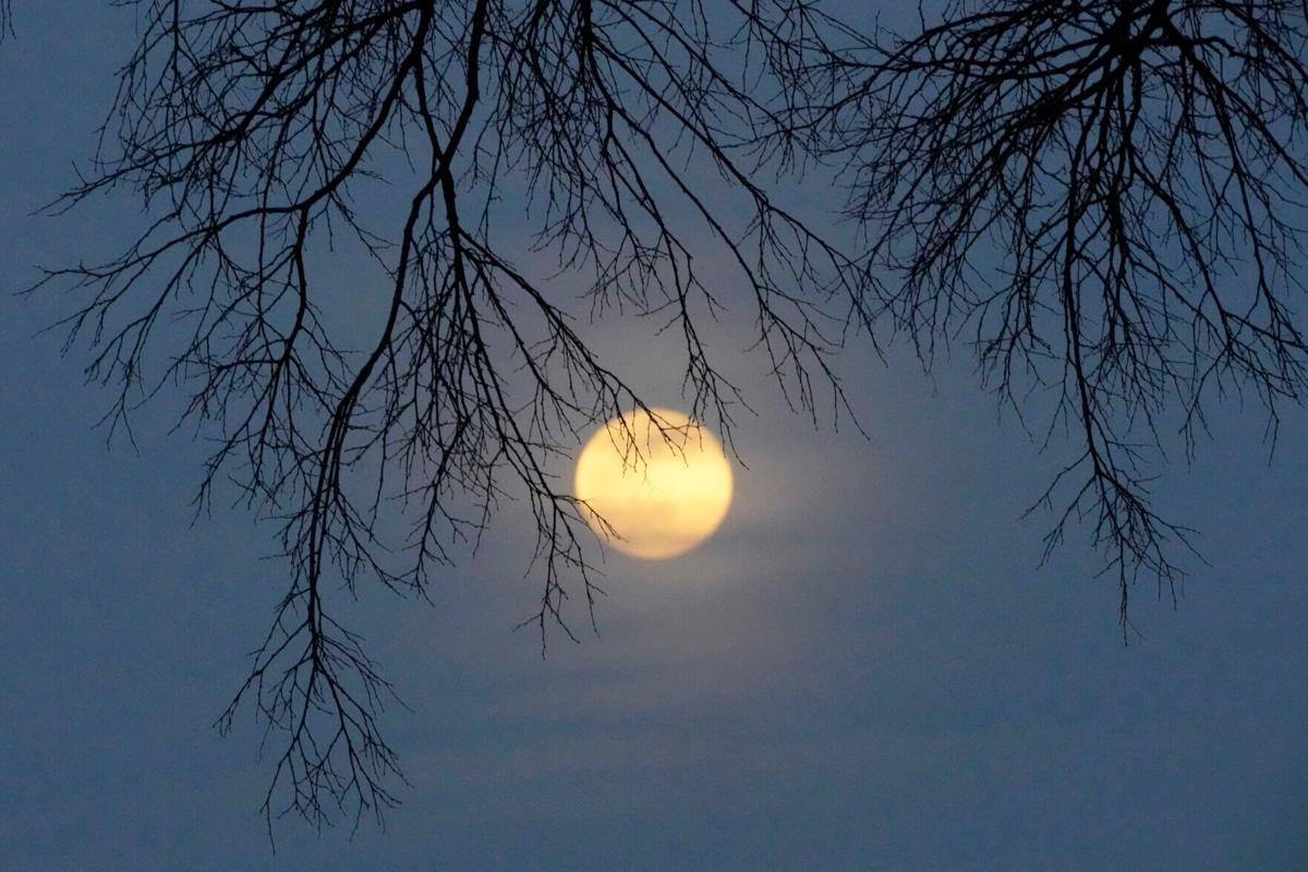 Keep an eye on the sky for January's full wolf moon tonight