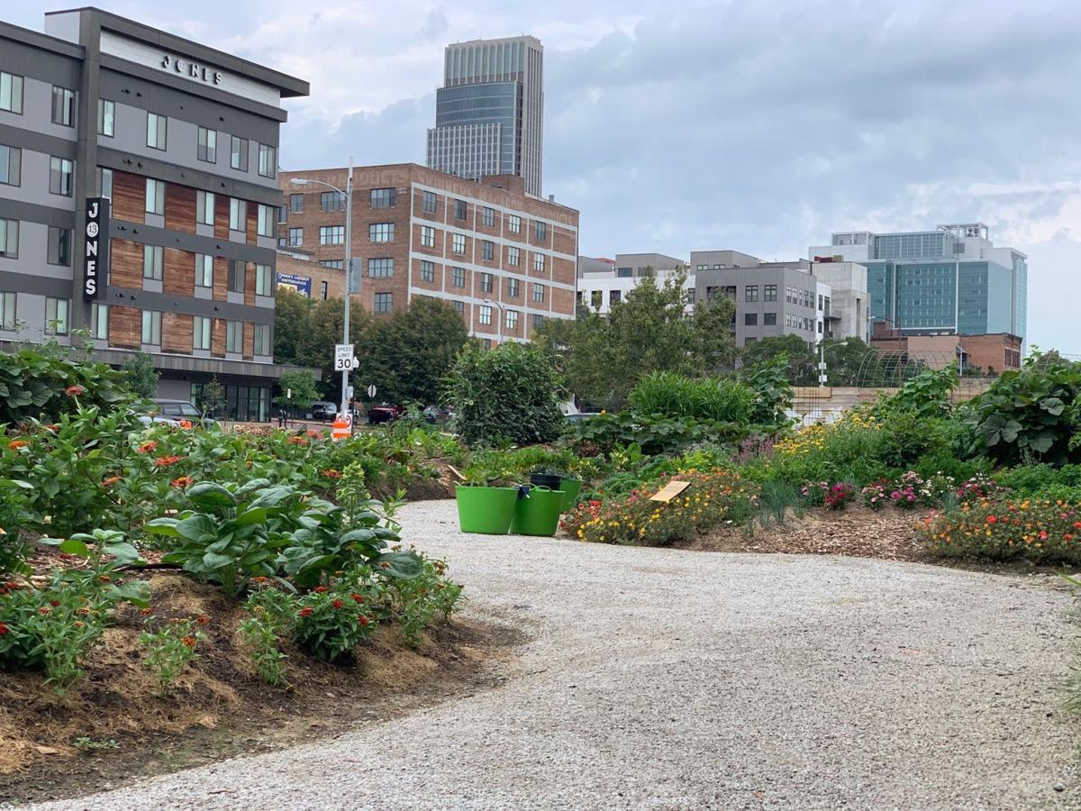 Sacred Seed Pop-up Garden