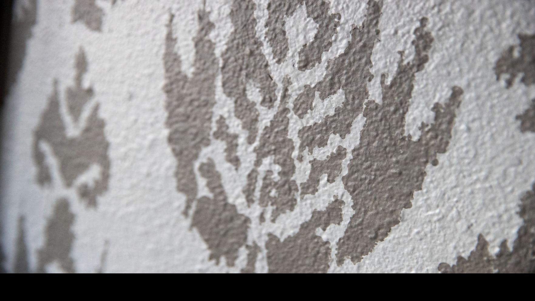 Wall Stencil How To Inspired Living Omaha Com