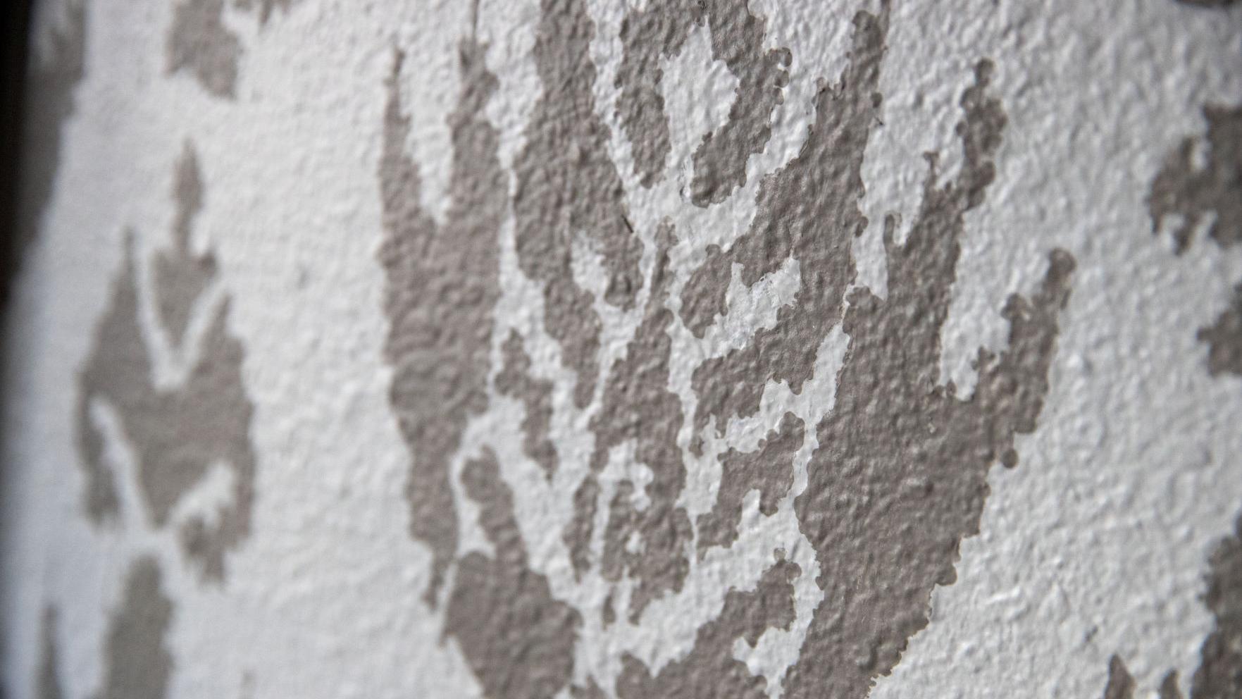Wall Stencil How To Inspired Living Omaha Com