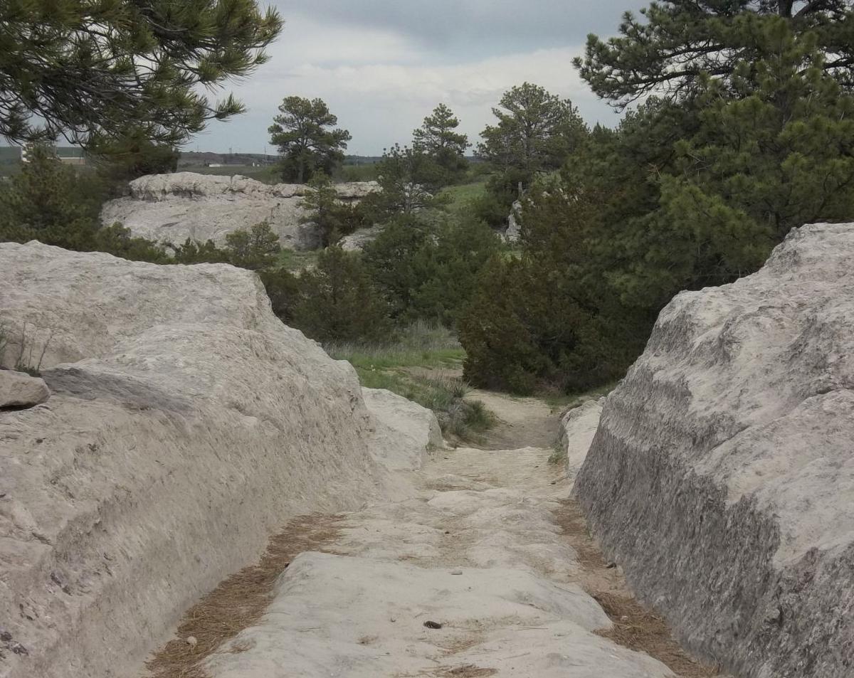 Touching ruts on the Oregon Trail | | omaha.com