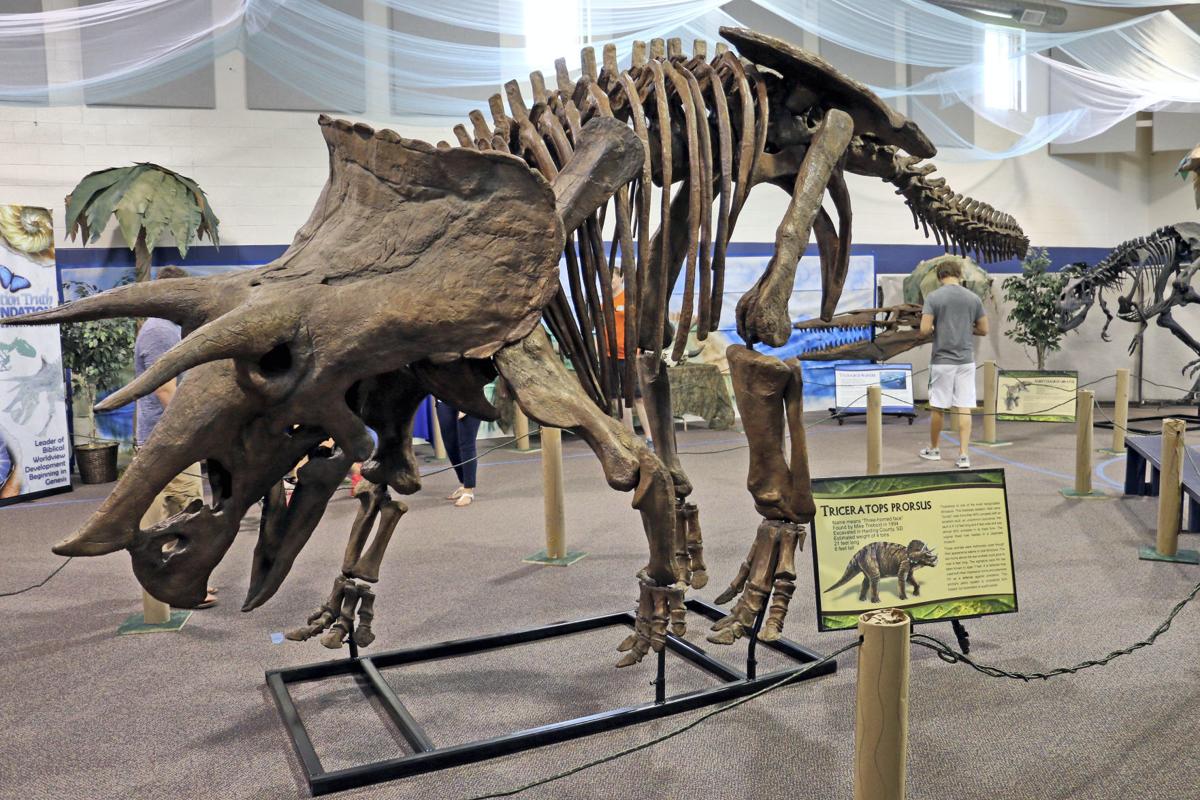 Dinosaur fans find lots to dig in Nebraska State Fair exhibit State
