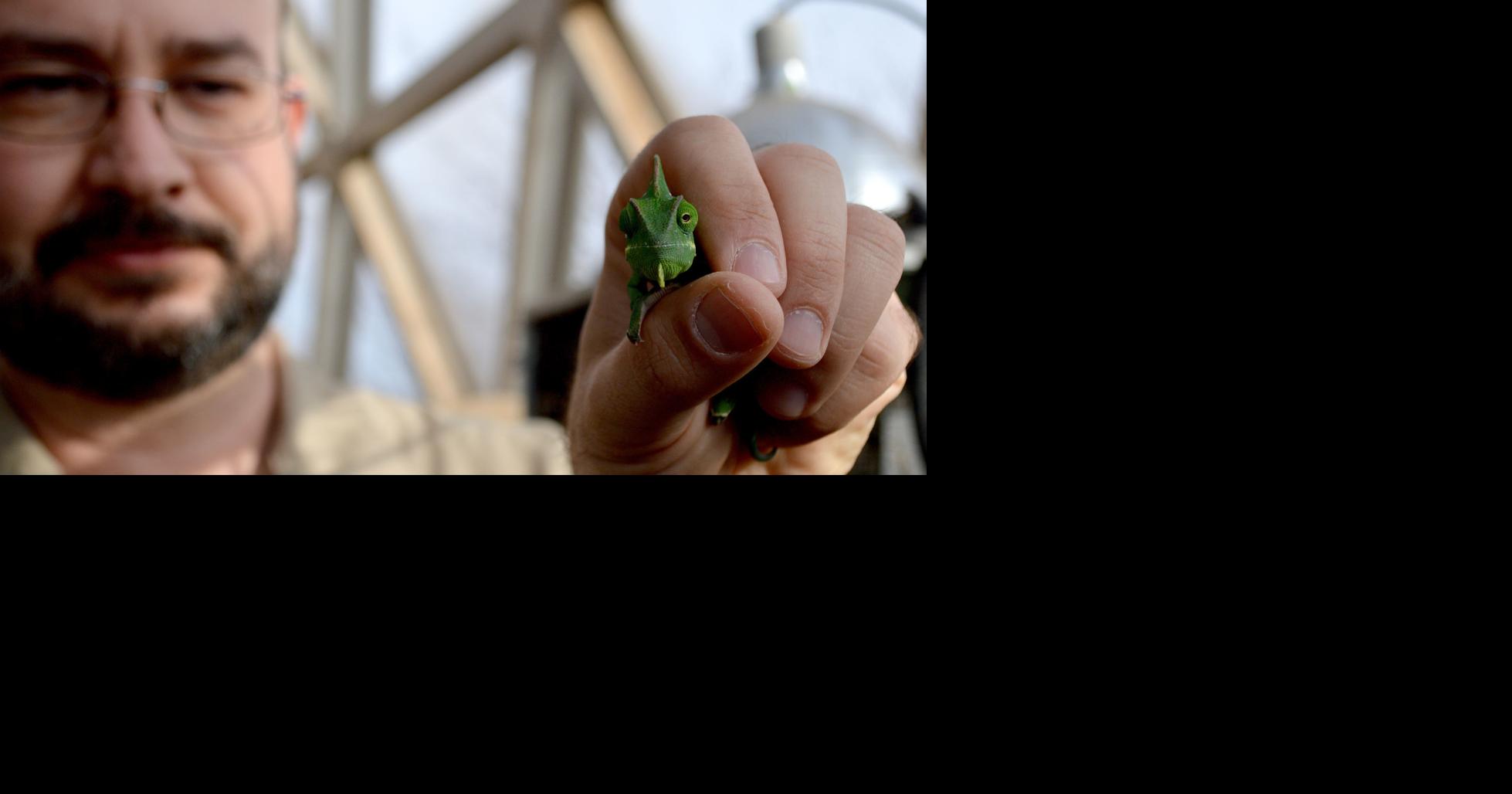 Dealing with rooms of venomous reptiles A day in the life of an Omaha