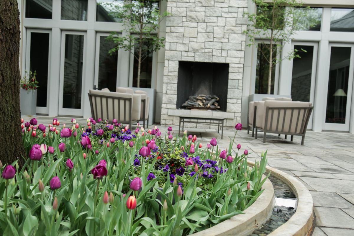 That Tulip Show In Spring It Starts With Fall Planting Inspired