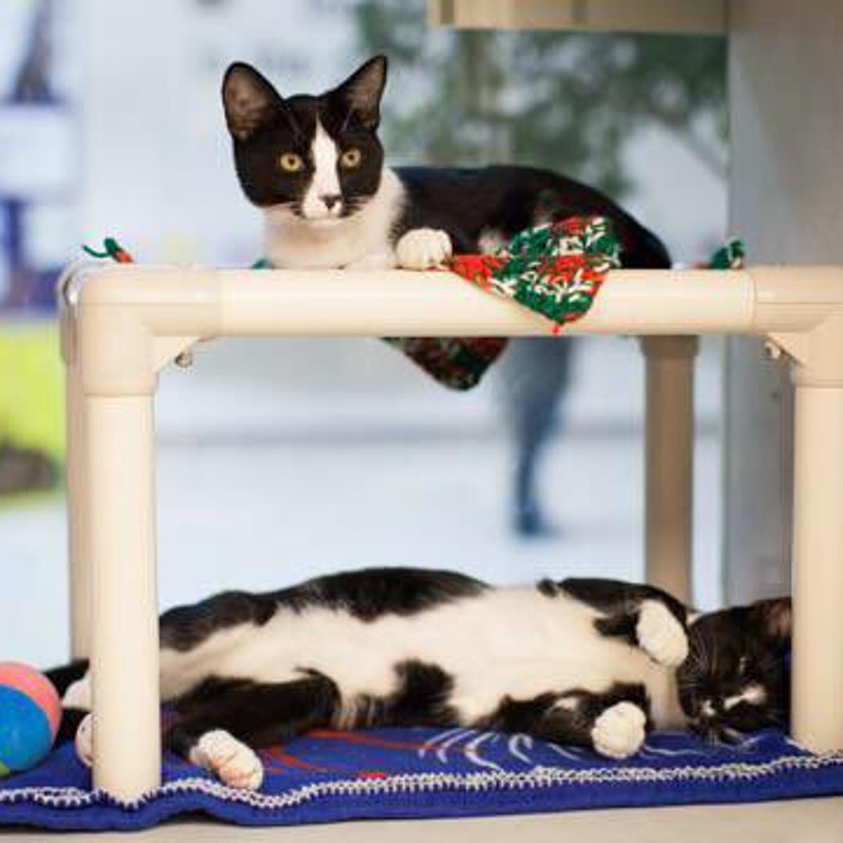 Giving Tuesday Kicks Off The Charitable Season For Area Nonprofits Local News Omaha Com