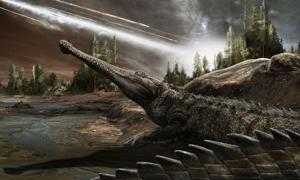 An affinity for warm climes has helped crocs thrive for eons