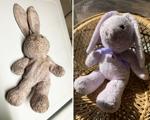 'Worth fighting for': Finding owner of stuffed bunny becomes a quest for Omaha woman