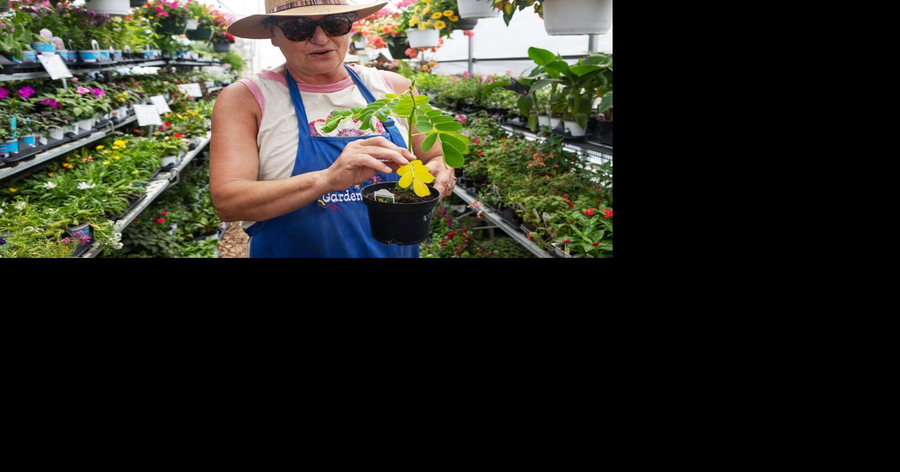 This weekend is the 'Black Friday' of gardening season in Omaha