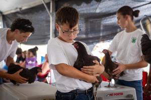 071926-owh-new-countyfair-jc-26